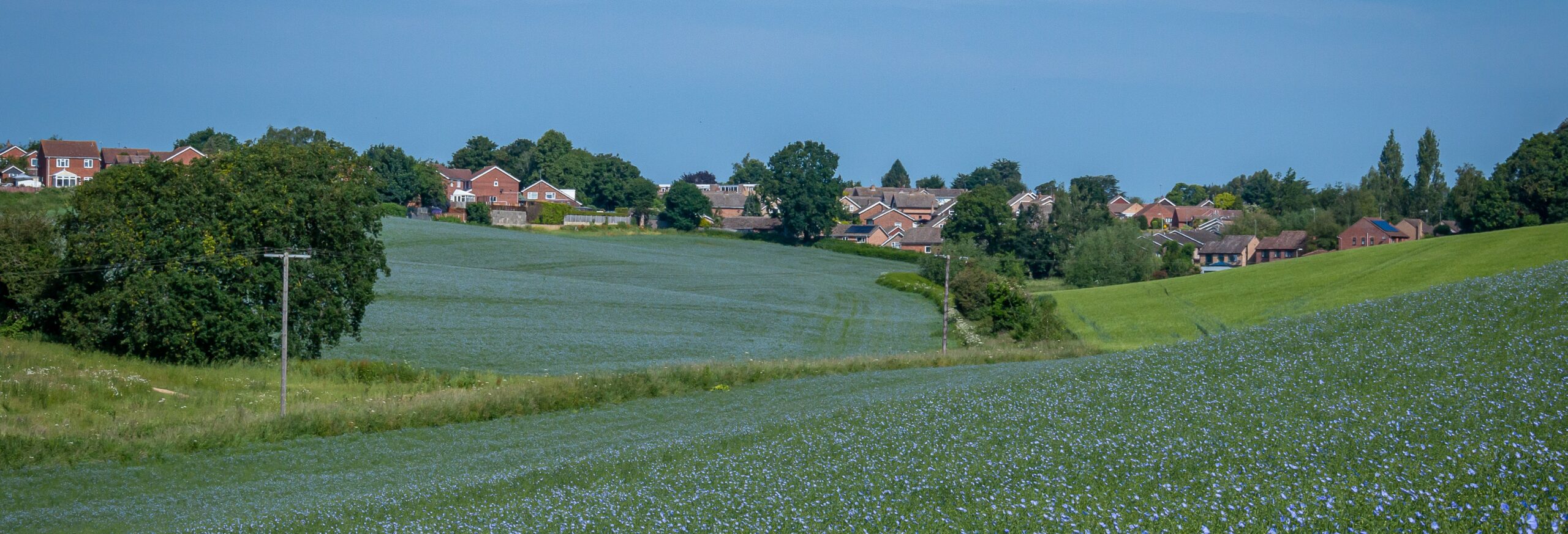 banner - Brantham Heights